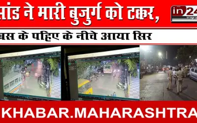 सांड ने मारी बुजुर्ग को टक्कर, बस के पहिए के नीचे आया सिर