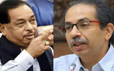 विधानसभा चुनाव में पांच से ज्यादा सीट नहीं जीत पाएगा उद्धव गुट - नारायण राणे