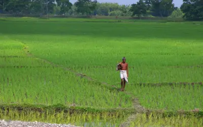 तीन बेटों को जायदाद देकर भीख मांग रहा है किसान पिता