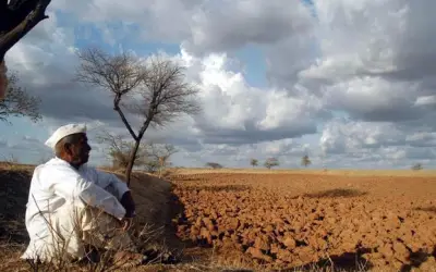 महाराष्ट्र में प्रतिदिन 8 किसान करते हैं आत्महत्या !
