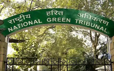 कोहरे की कहर पर एनजीटी ने लगाई दिल्ली सरकार को फटकार 