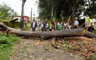 गुलमोहर का पेड़ बना मौत का कारण 