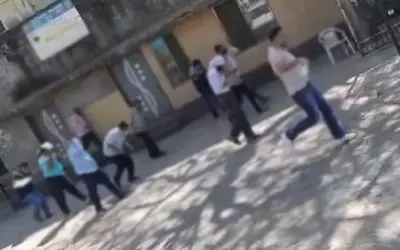 मधुमक्खियों के हमले से बारात में मची भगदड़, दूल्हे की भागकर छिपना पड़ा