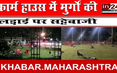फार्म हाउस में मुर्गों की लड़ाई पर सट्टेबाजी