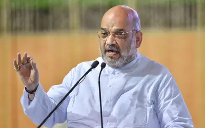 भाजपा की अगली सरकार धारा 370 हटा देगी : शाह
