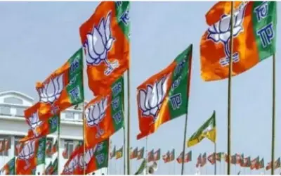 कर्नाटक चुनाव में महाराष्ट्र बीजेपी को मिली 85 सीटों की जिम्मेदारी
