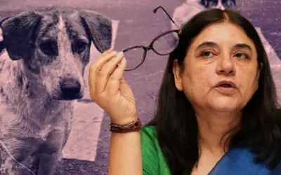 मेनका गांधी की दखल से कुत्ते के मालिक के खिलाफ मामला दर्ज