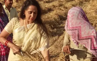ड्रीम गर्ल ने काटे गेंहू