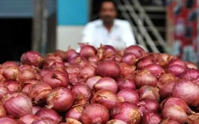 प्याज की चोरी से किसानों में दहशत !