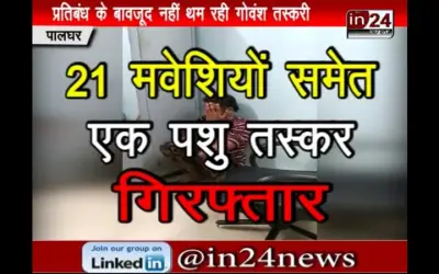 पालघर में गोवंश तस्करी का खुलासा
