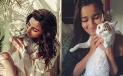 PETA ने आलिया भट्ट को चुना 2021 का पर्सन ऑफ द ईयर