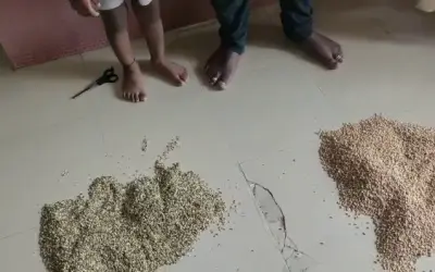Playing with the health of children studying in Anganwadi -in24news