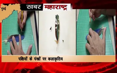 Unique skill of making artworks on the wings of birds
