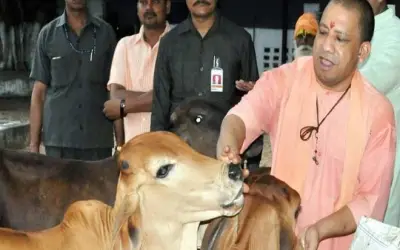 गायों के लिए यूपी सरकार का गौ सेवा आयोग