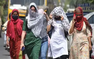 भीषण गर्मी ने ली 100 लोगों की जान, अस्पतालों में बढ़ी बीमारों की संख्या |